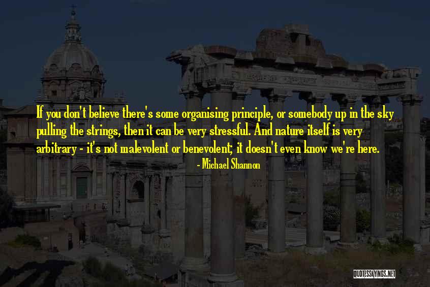 Organising My Quotes By Michael Shannon Organising My Quotes By Michael Shannon