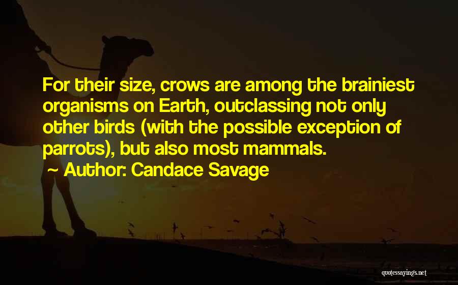 Organisms Quotes By Candace Savage