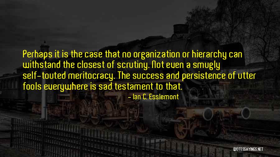 Organization And Success Quotes By Ian C. Esslemont