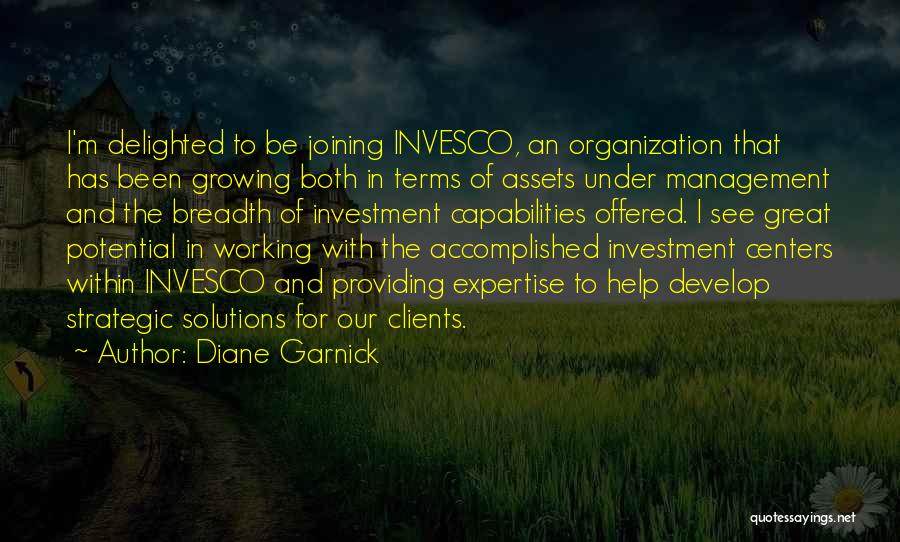 Organization Management Quotes By Diane Garnick