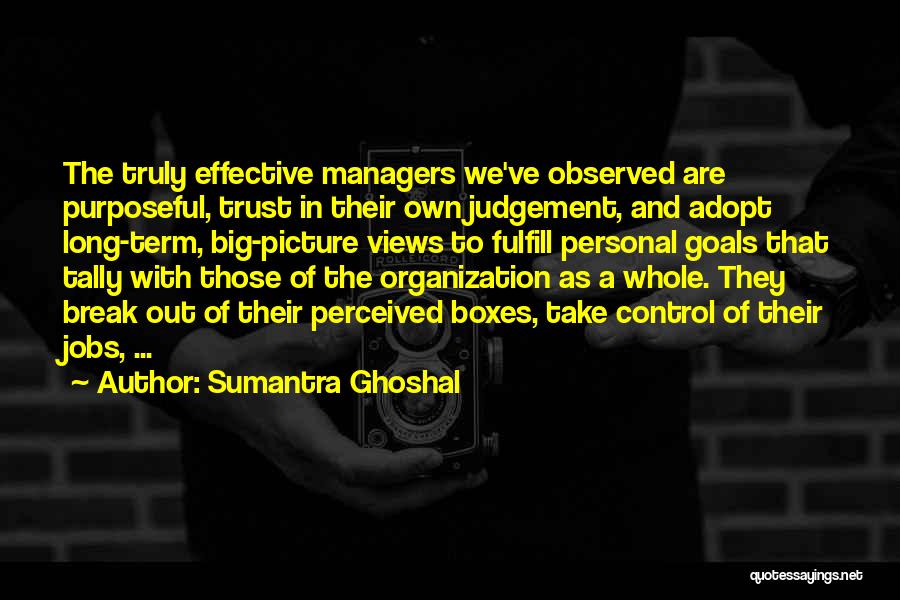 Organization Management Quotes By Sumantra Ghoshal
