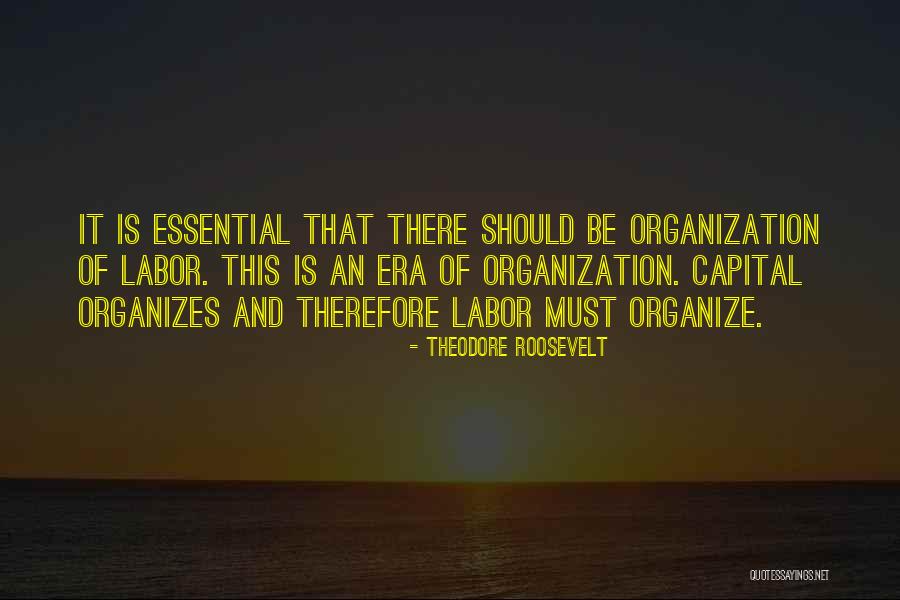 Organization Quotes By Theodore Roosevelt Organization Quotes By Theodore Roosevelt