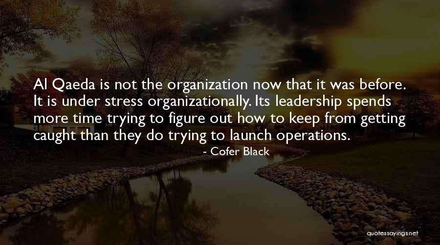 Organizationally Quotes By Cofer Black Organizationally Quotes By Cofer Black