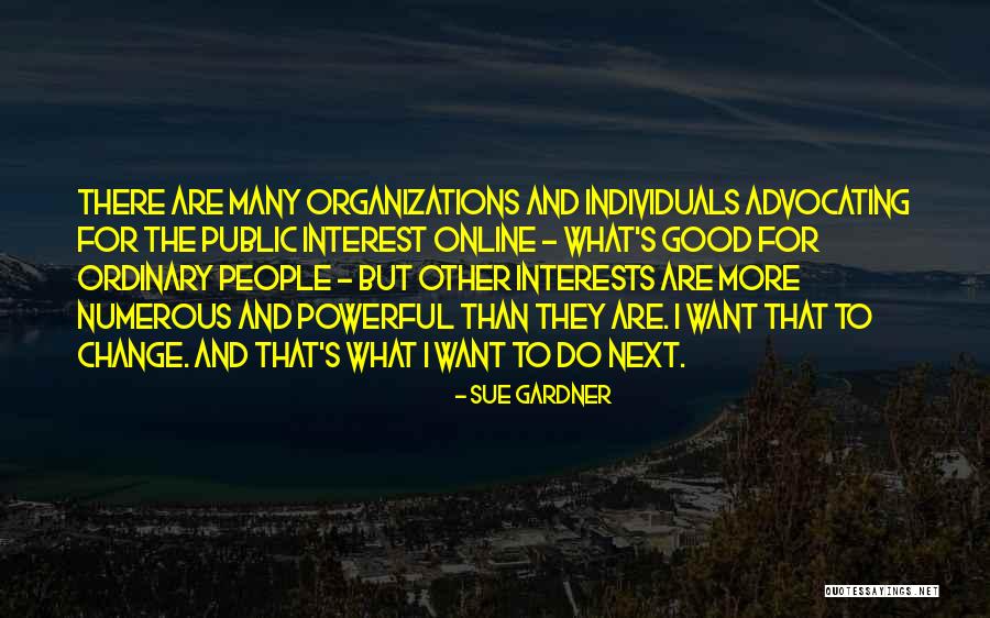 Organizations And Change Quotes By Sue Gardner