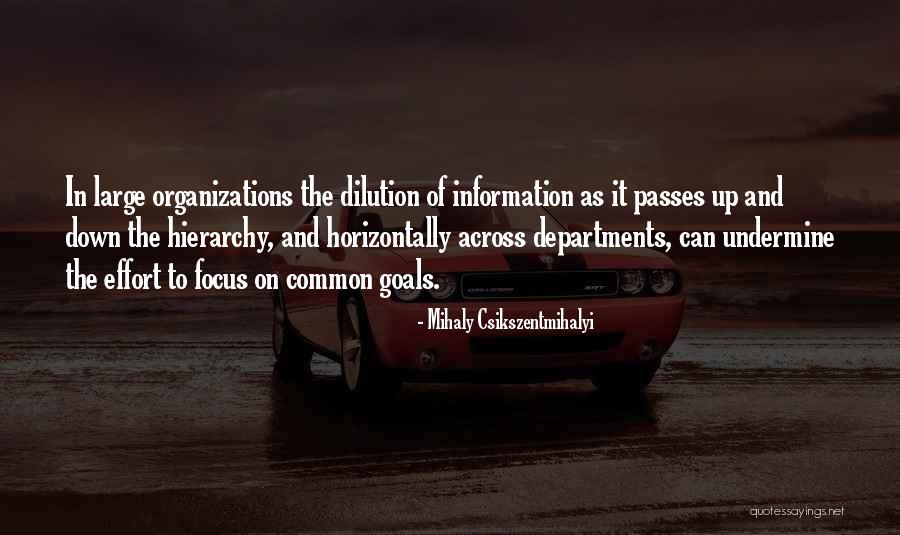 Organizations Quotes By Mihaly Csikszentmihalyi