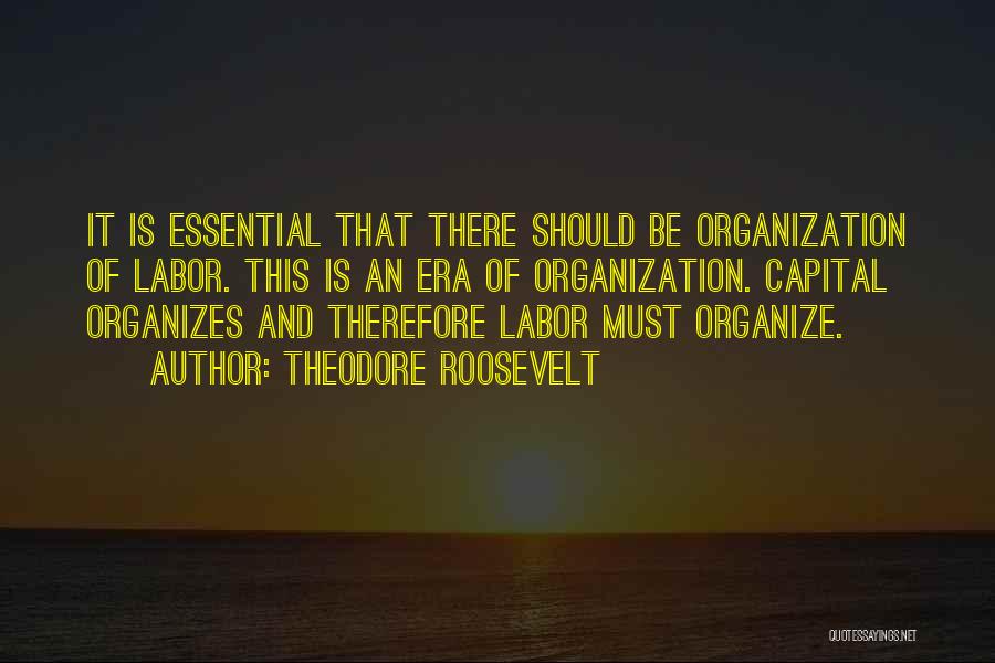 Organize Quotes By Theodore Roosevelt