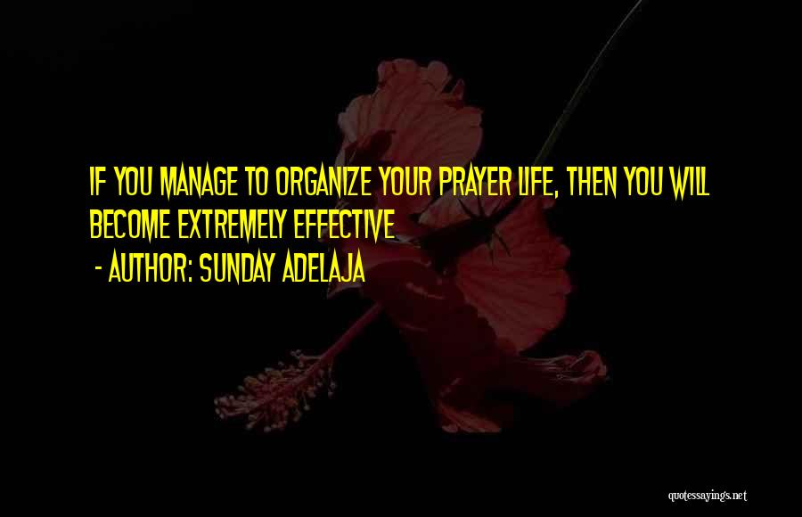 Organize Your Life Quotes By Sunday Adelaja