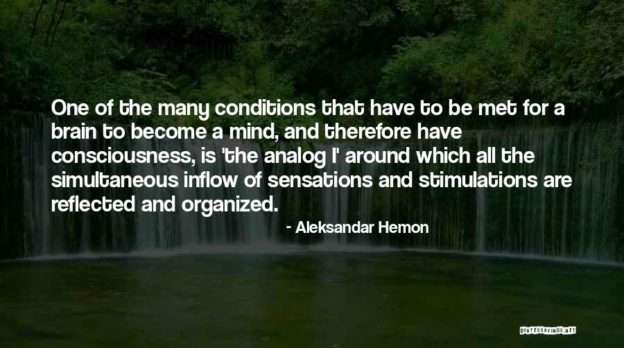Organized Mind Quotes By Aleksandar Hemon Organized Mind Quotes By Aleksandar Hemon