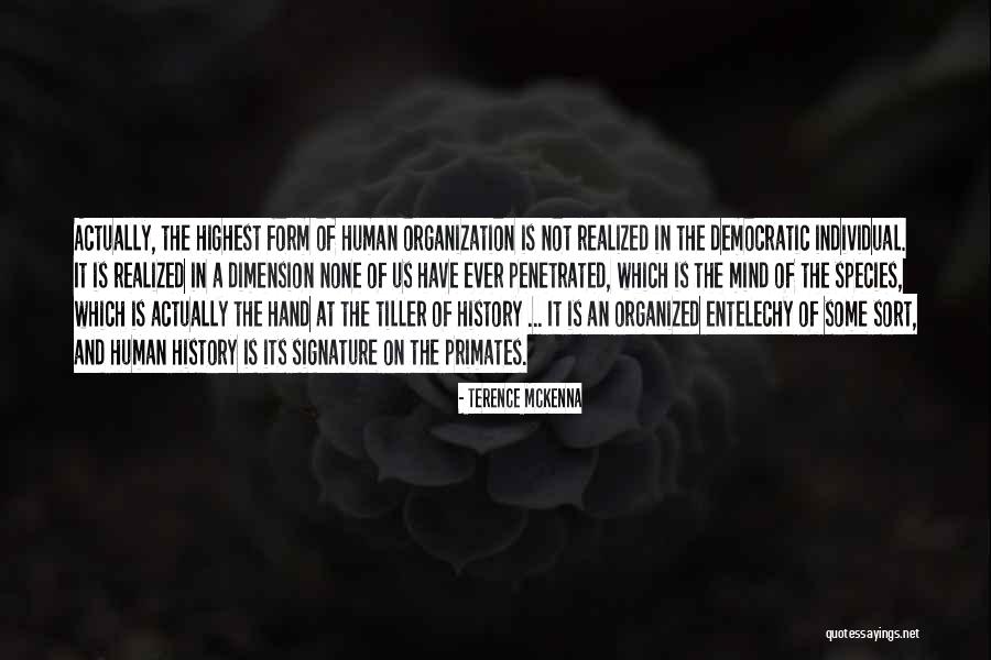 Organized Mind Quotes By Terence McKenna Organized Mind Quotes By Terence McKenna