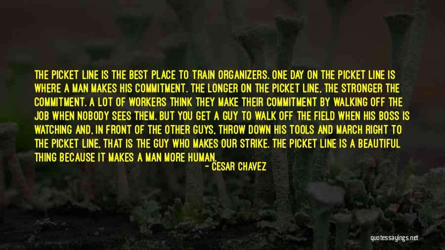 Organizers Quotes By Cesar Chavez