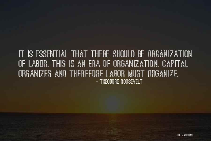 Organizes Quotes By Theodore Roosevelt Organizes Quotes By Theodore Roosevelt