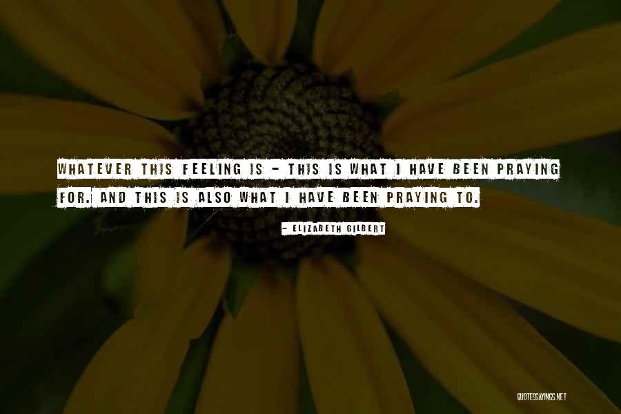 Organos Vestigiales Quotes By Elizabeth Gilbert