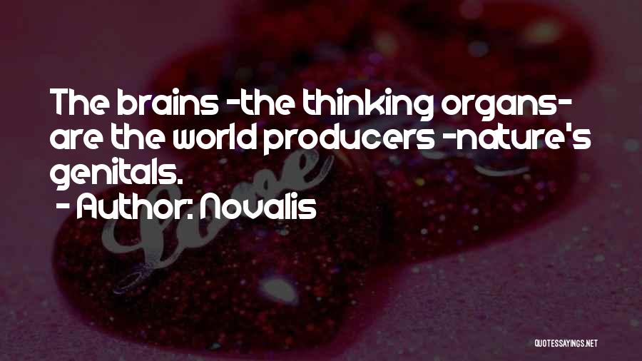 Organs Quotes By Novalis