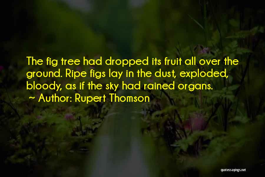 Organs Quotes By Rupert Thomson