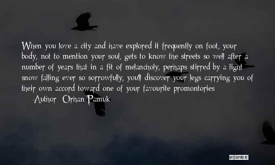 Orhan Pamuk Quotes 113579