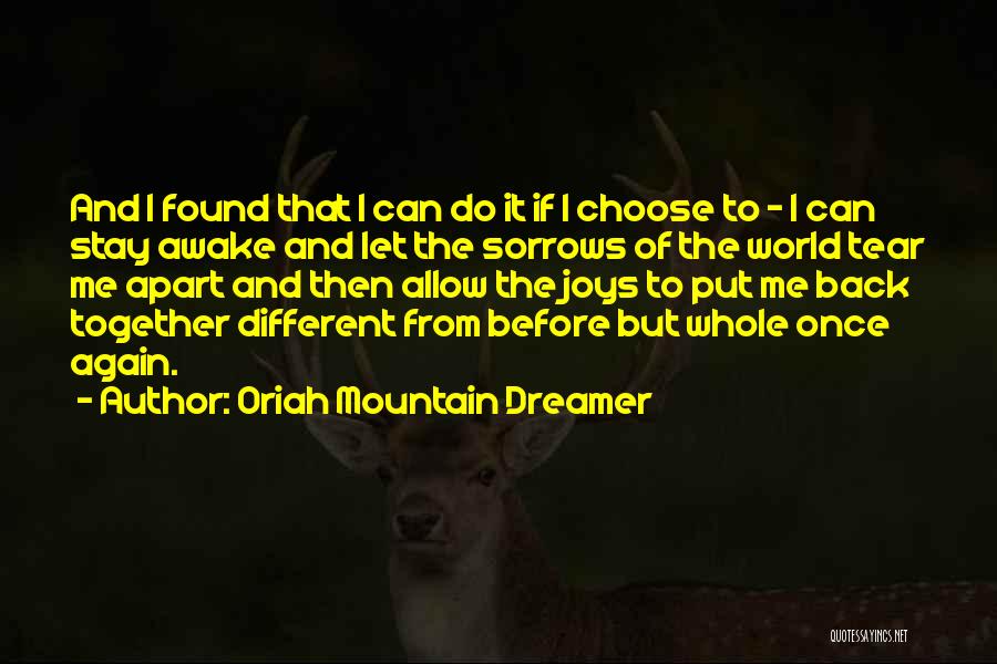 Oriah Mountain Dreamer Quotes 1063982