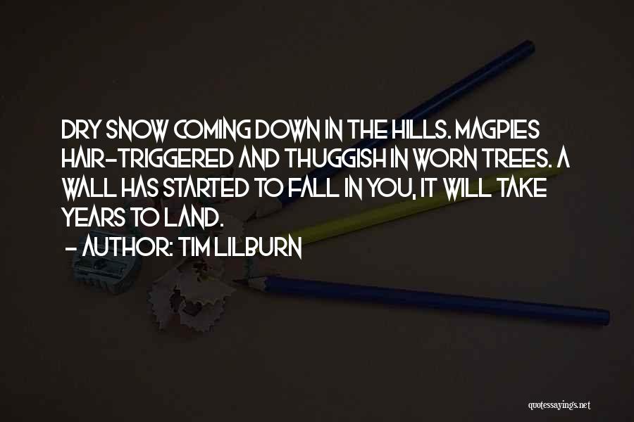 Oriental Magpie Robin Quotes By Tim Lilburn