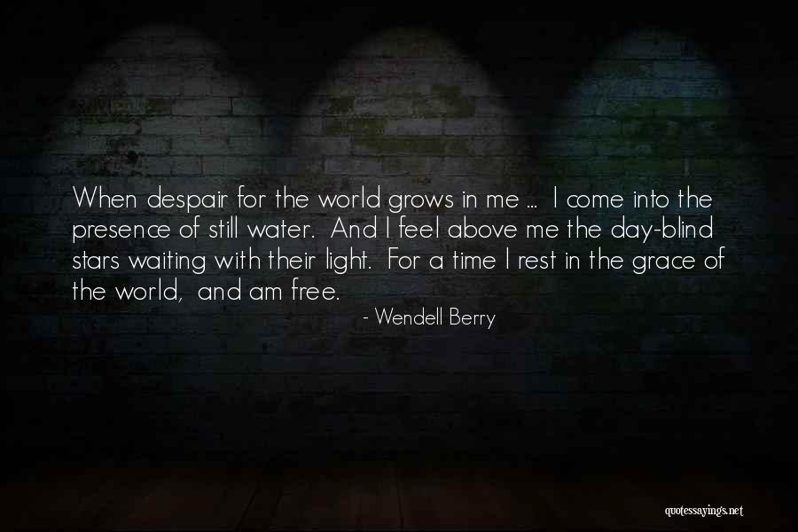 Oriental Magpie Robin Quotes By Wendell Berry Oriental Magpie Robin Quotes By Wendell Berry