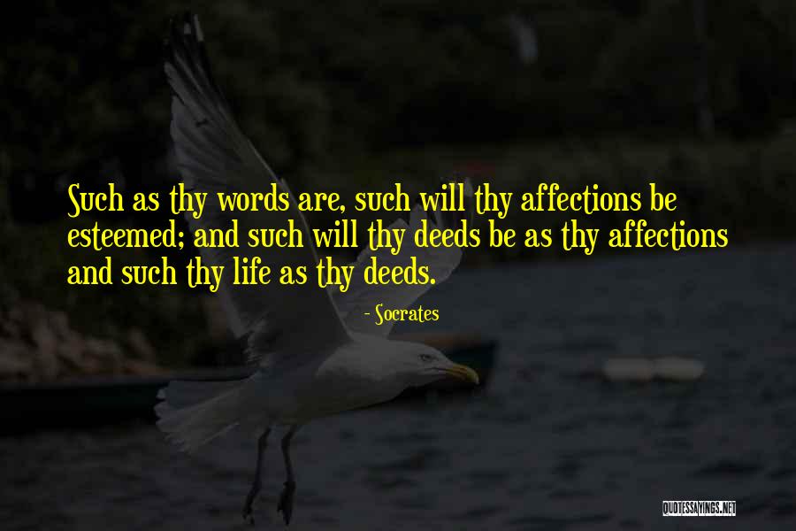Orientales Calientes Quotes By Socrates Orientales Calientes Quotes By Socrates