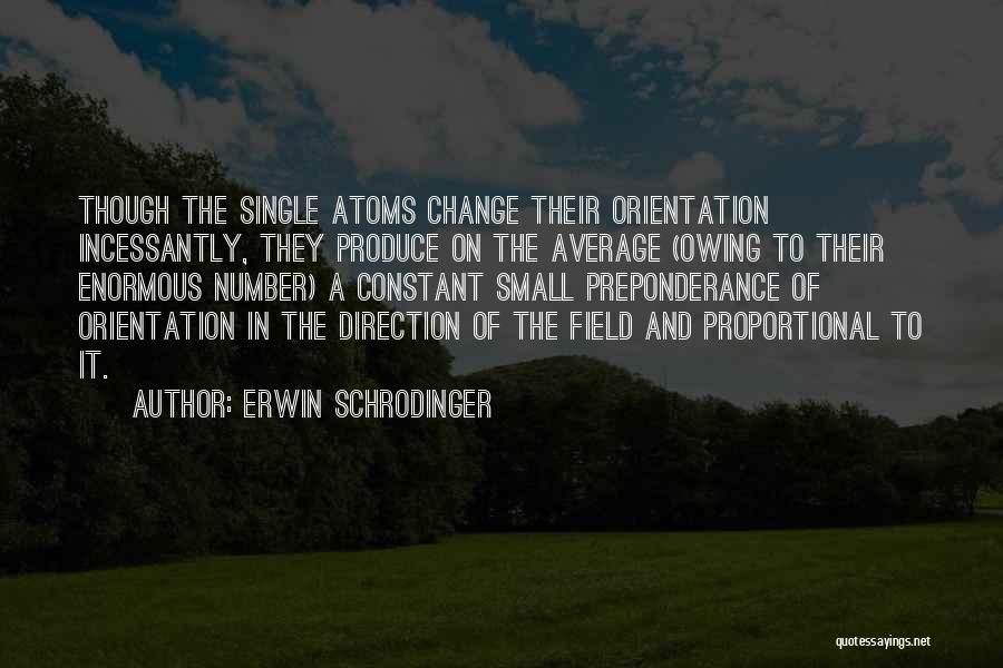 Orientation Quotes By Erwin Schrodinger