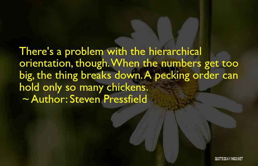 Orientation Quotes By Steven Pressfield