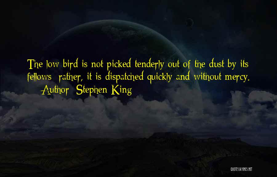 Orientierungslicht Quotes By Stephen King