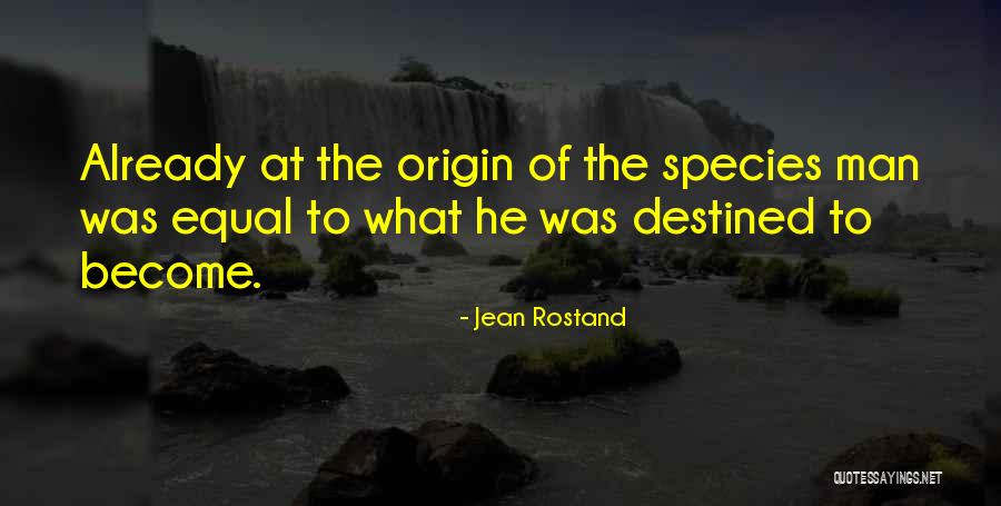 Origin Of Man Quotes By Jean Rostand