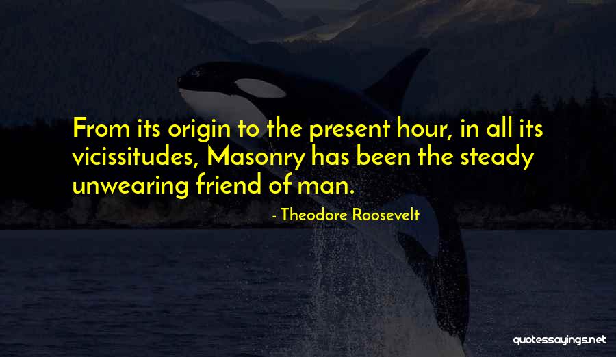 Origin Of Man Quotes By Theodore Roosevelt