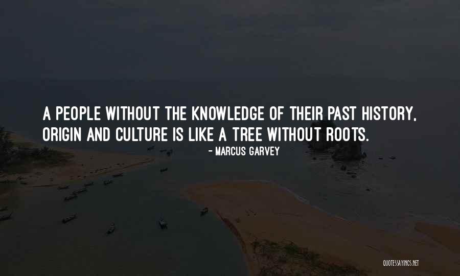 Origin Quotes By Marcus Garvey Origin Quotes By Marcus Garvey