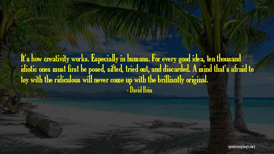 Original Idea Quotes By David Brin