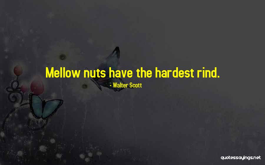 Origination Of Valentines Day Quotes By Walter Scott Origination Of Valentines Day Quotes By Walter Scott