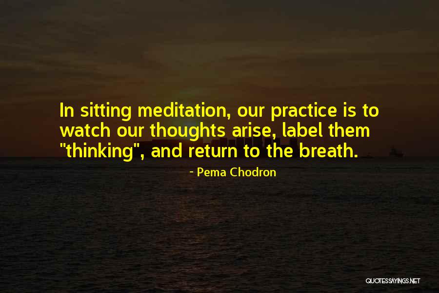 Orillero Quotes By Pema Chodron Orillero Quotes By Pema Chodron