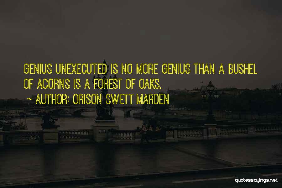 Orison Swett Marden Quotes 1339477