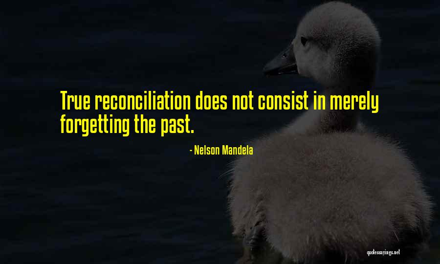 Orkanen Irma Quotes By Nelson Mandela