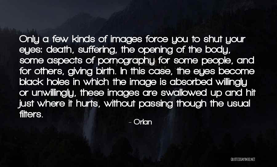 Orlan Quotes 411856