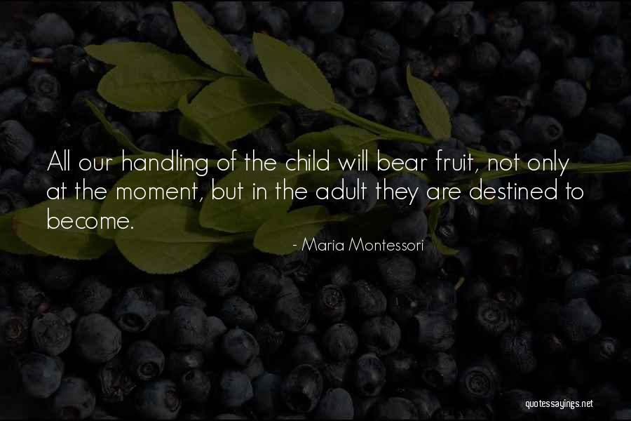 Orlando Pulse Quotes By Maria Montessori Orlando Pulse Quotes By Maria Montessori