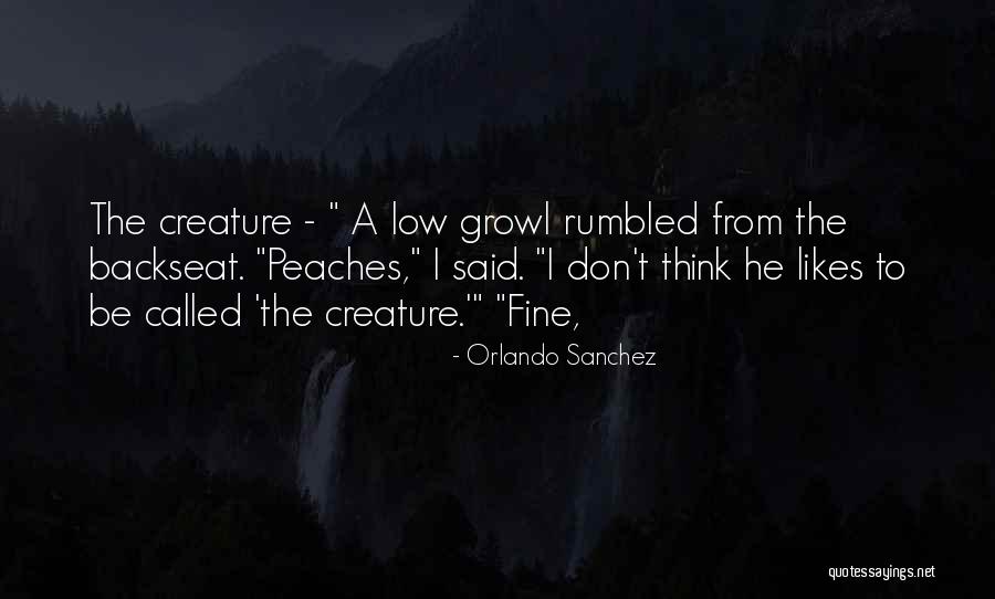 Orlando Sanchez Quotes 2116617