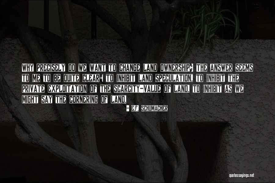 Orlane Skin Quotes By E.F. Schumacher Orlane Skin Quotes By E.F. Schumacher