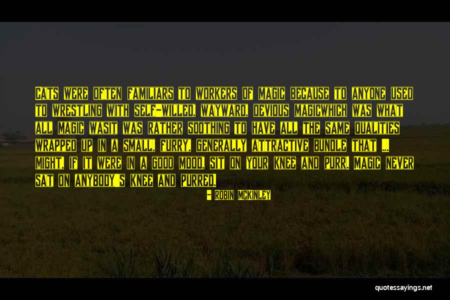 Orlo Exitos De David Pavon Quotes By Robin McKinley Orlo Exitos De David Pavon Quotes By Robin McKinley