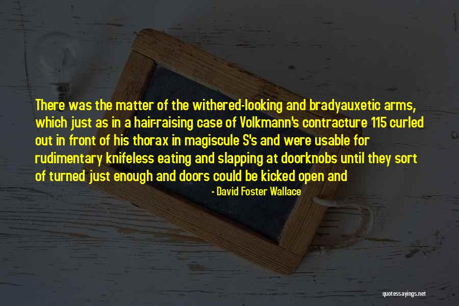 Ormaz Miodrag Quotes By David Foster Wallace Ormaz Miodrag Quotes By David Foster Wallace
