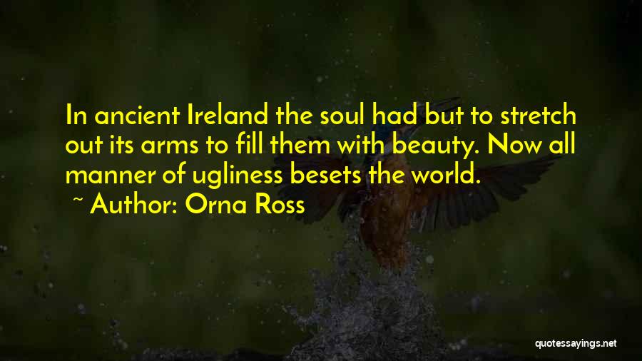 Orna Ross Quotes 139993