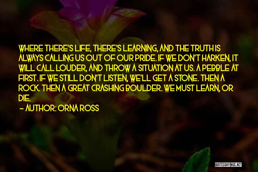 Orna Ross Quotes 391367