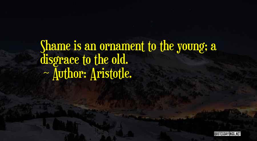 Ornament Quotes By Aristotle.