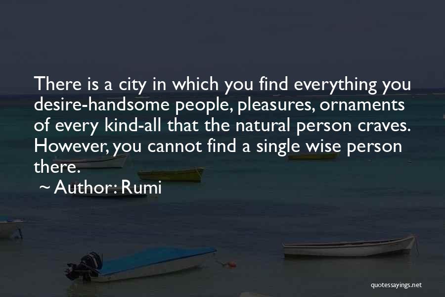 Ornaments Quotes By Rumi