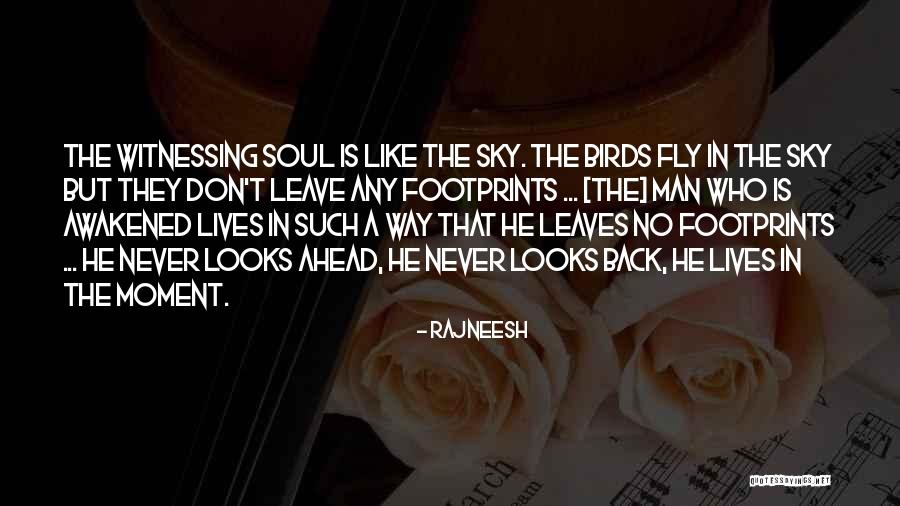 Ornithopter Leonardo Quotes By Rajneesh Ornithopter Leonardo Quotes By Rajneesh