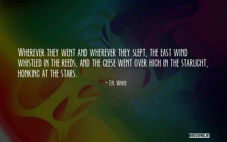 Oroonoko Honor Quotes By T.H. White Oroonoko Honor Quotes By T.H. White