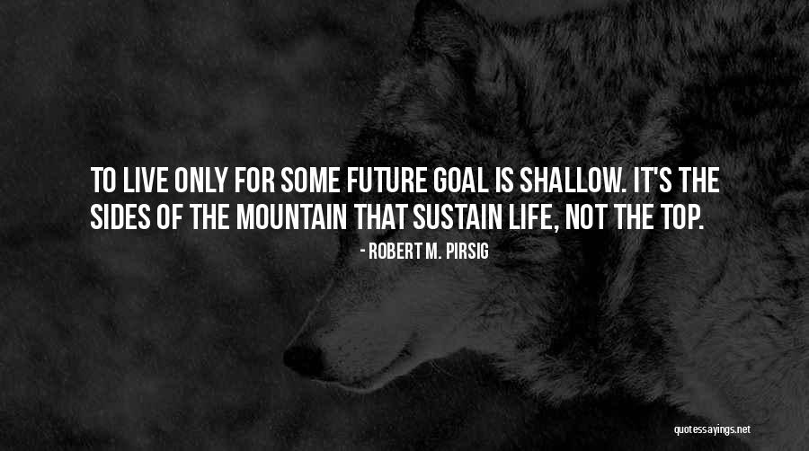 Orosco Quotes By Robert M. Pirsig Orosco Quotes By Robert M. Pirsig
