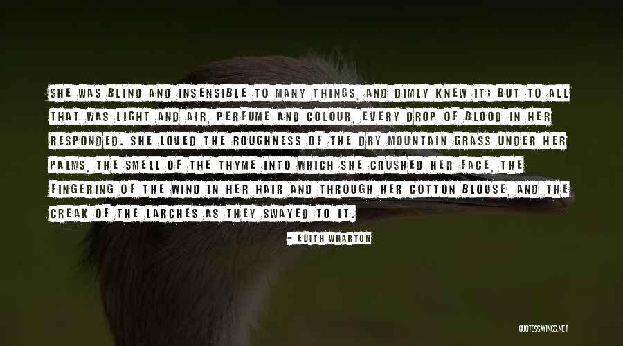 Orotund Synonym Quotes By Edith Wharton Orotund Synonym Quotes By Edith Wharton