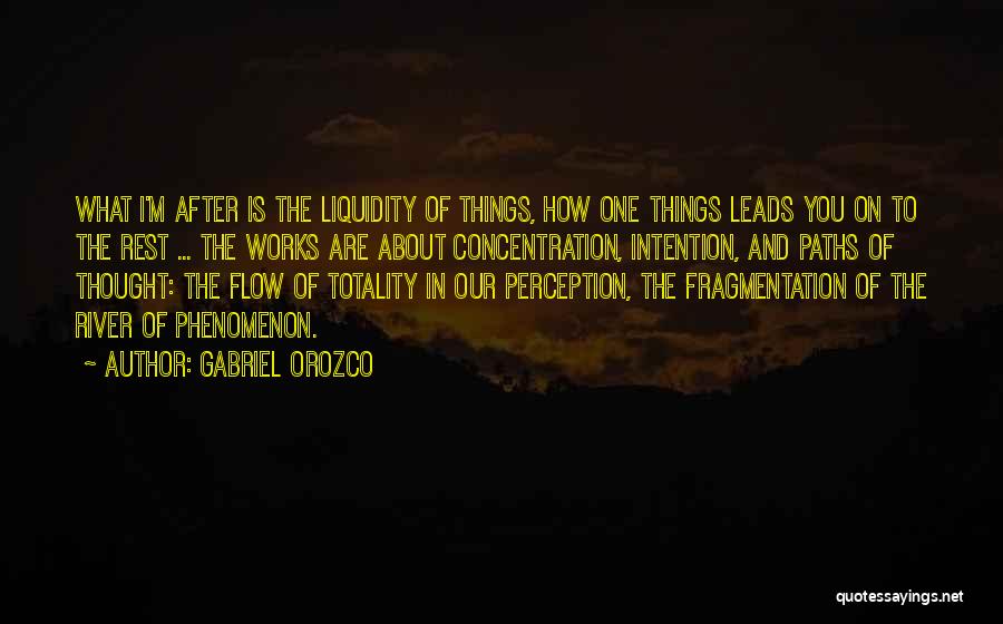 Orozco Quotes By Gabriel Orozco