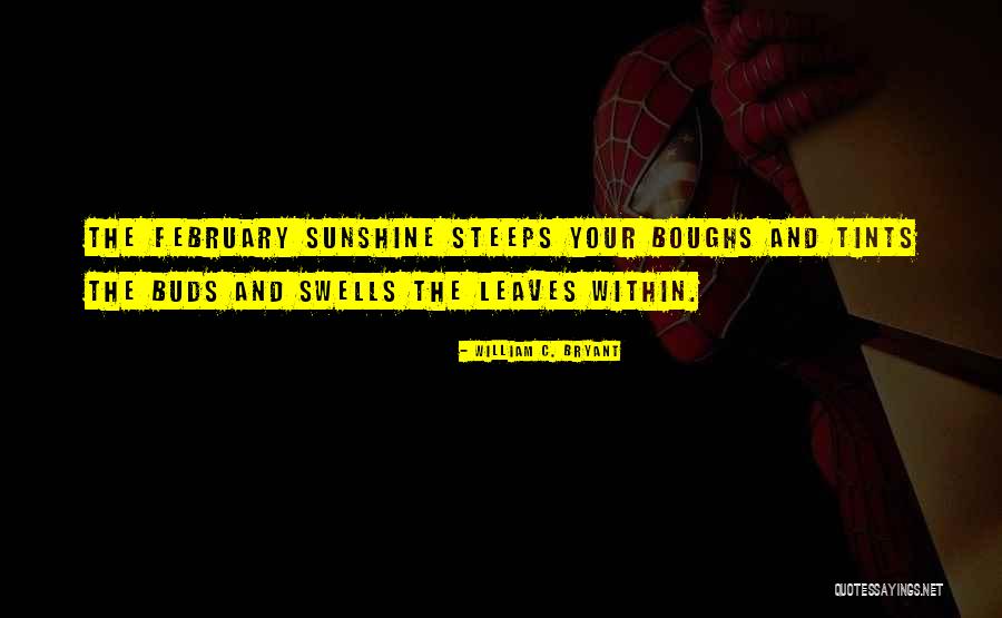 Orphanides Murat Quotes By William C. Bryant Orphanides Murat Quotes By William C. Bryant